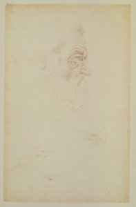 Schizzo di una testa maschile e due gambe da Michelangelo Buonarroti